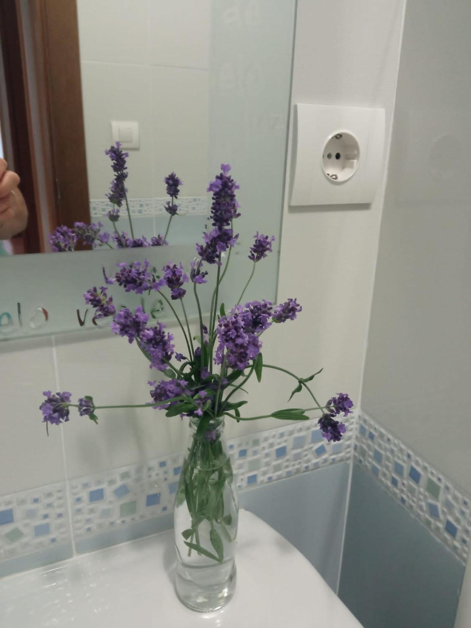 Apartamentos La Blanca Nueva De Llanes Exteriér fotografie